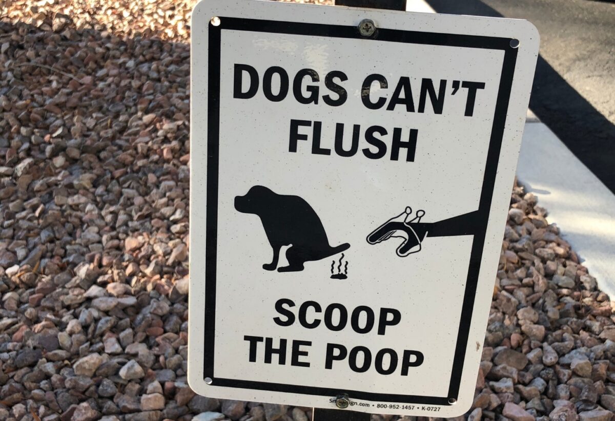 pet service poop service