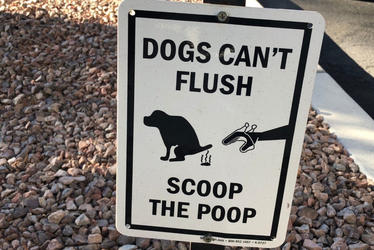 pet service poop service