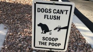 pet service poop service